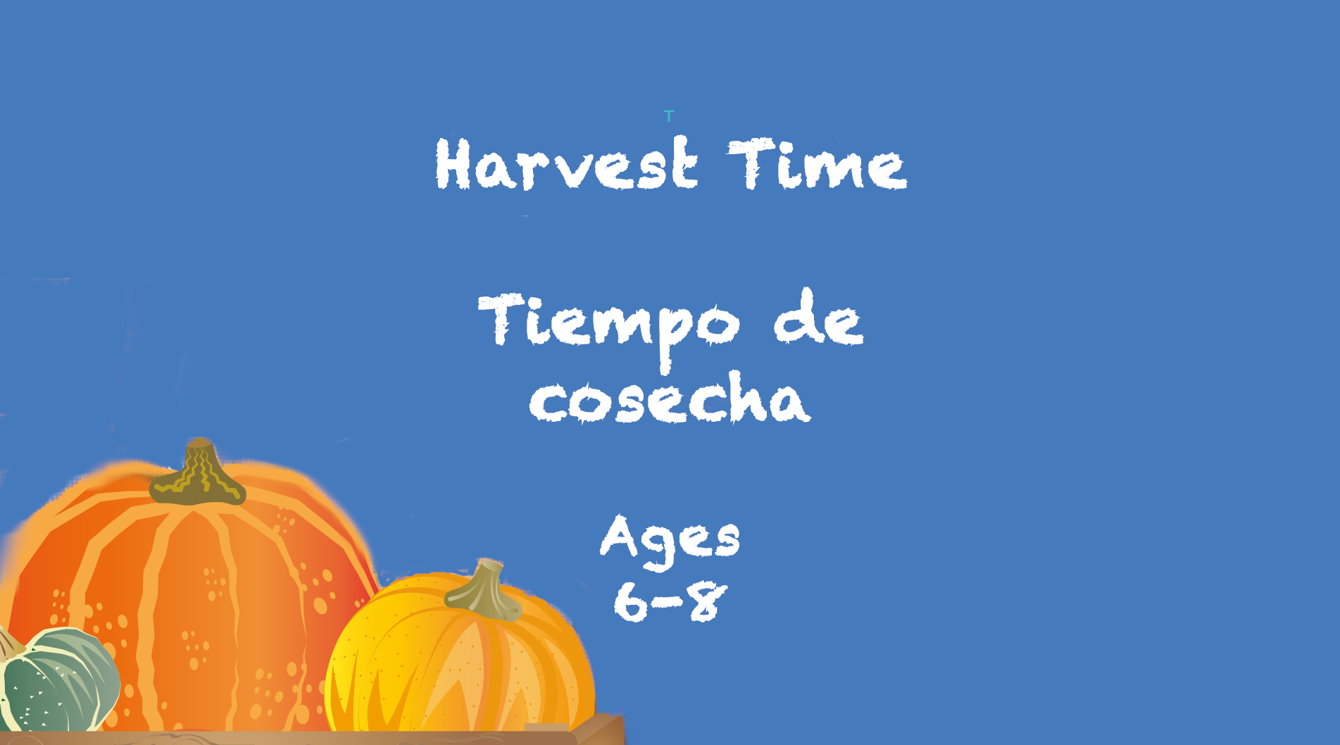 Harvest Time for 6-8 year olds