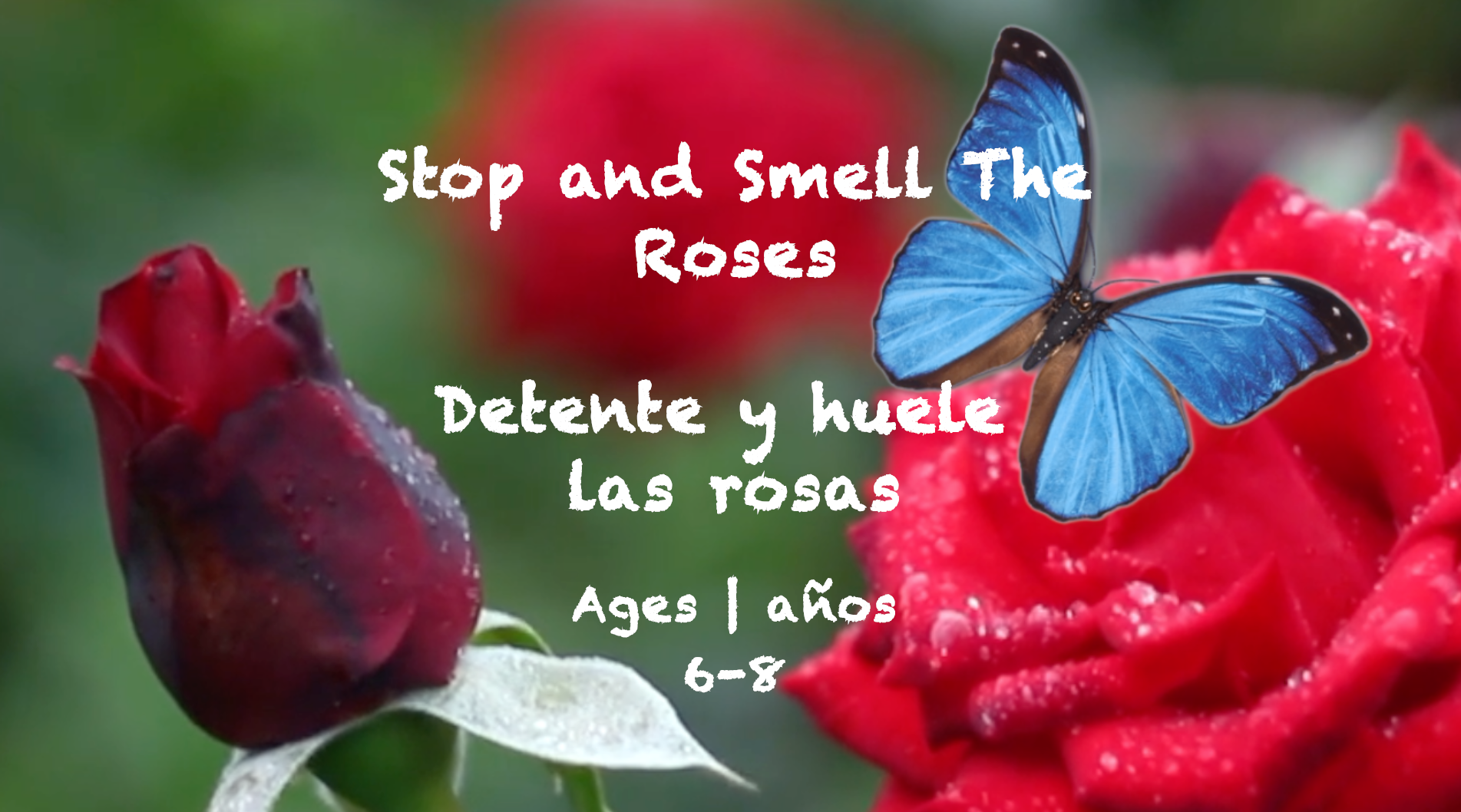 Temas semanales 34 Tarjeta "Huele las rosas" Edades 6-8 (1)