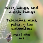 Week 36 Webs Wings and Wiggly Things Card Ages 6-8