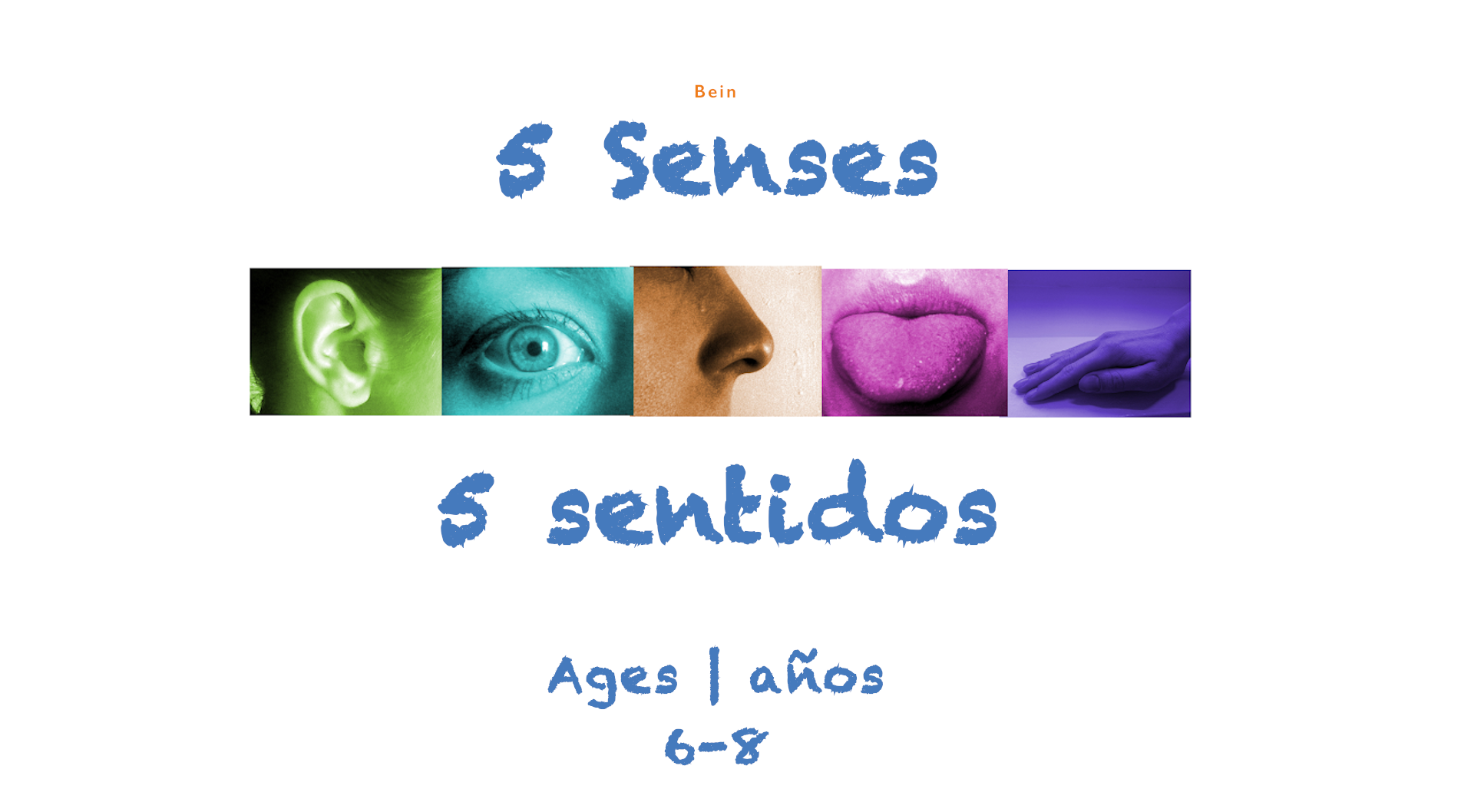 Los 5 sentidos para niños de 6 a 8 años